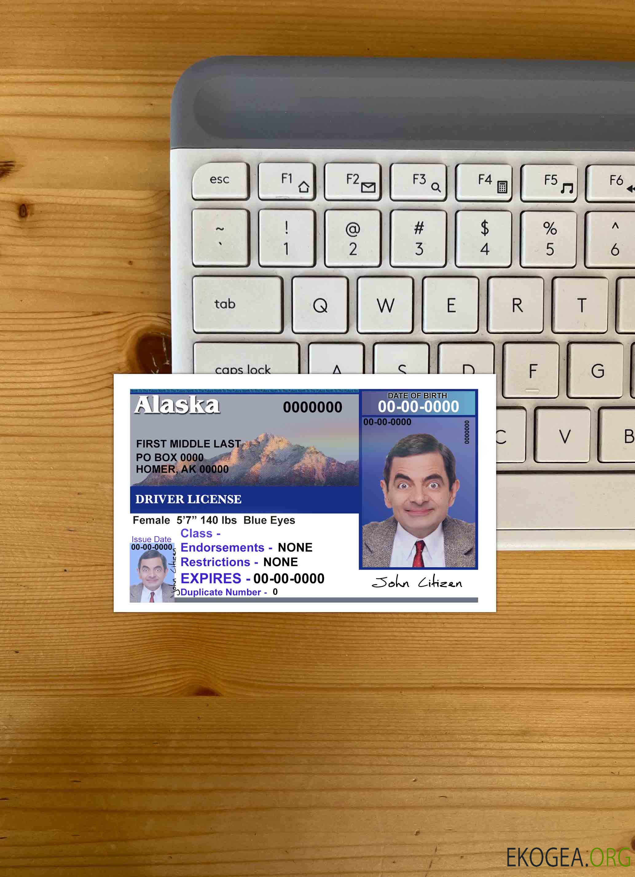 Permis de conduire USA Alaska version 2 (recto) photolook